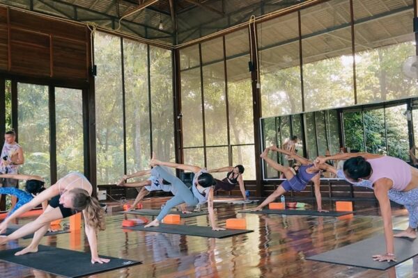 Yoga Teacher Training Koh Phangan Thailand - Sati yoga
